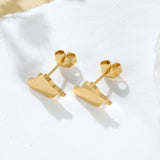 Syria Map Earrings