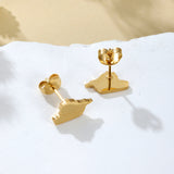 Syria Map Earrings
